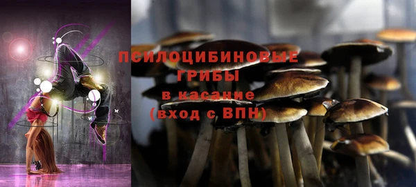 MDMA Горнозаводск