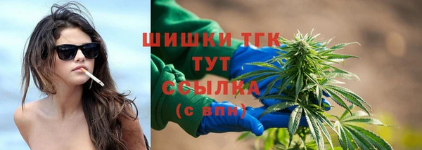 гидра Горно-Алтайск