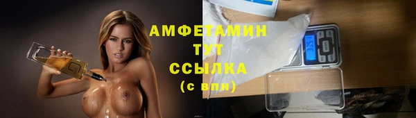 гидра Горно-Алтайск