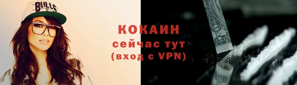 стафф Вязьма