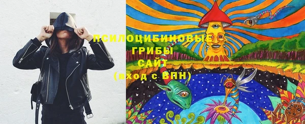 MDMA Горнозаводск