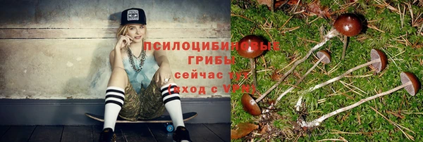 стафф Вязьма