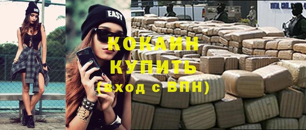 стафф Вязьма