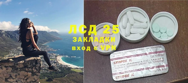 стафф Вязьма