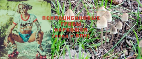 стафф Вязьма